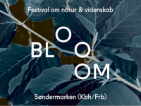 Ny festival i Søndermarken