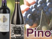 4 lækre vine på Pinot Noir