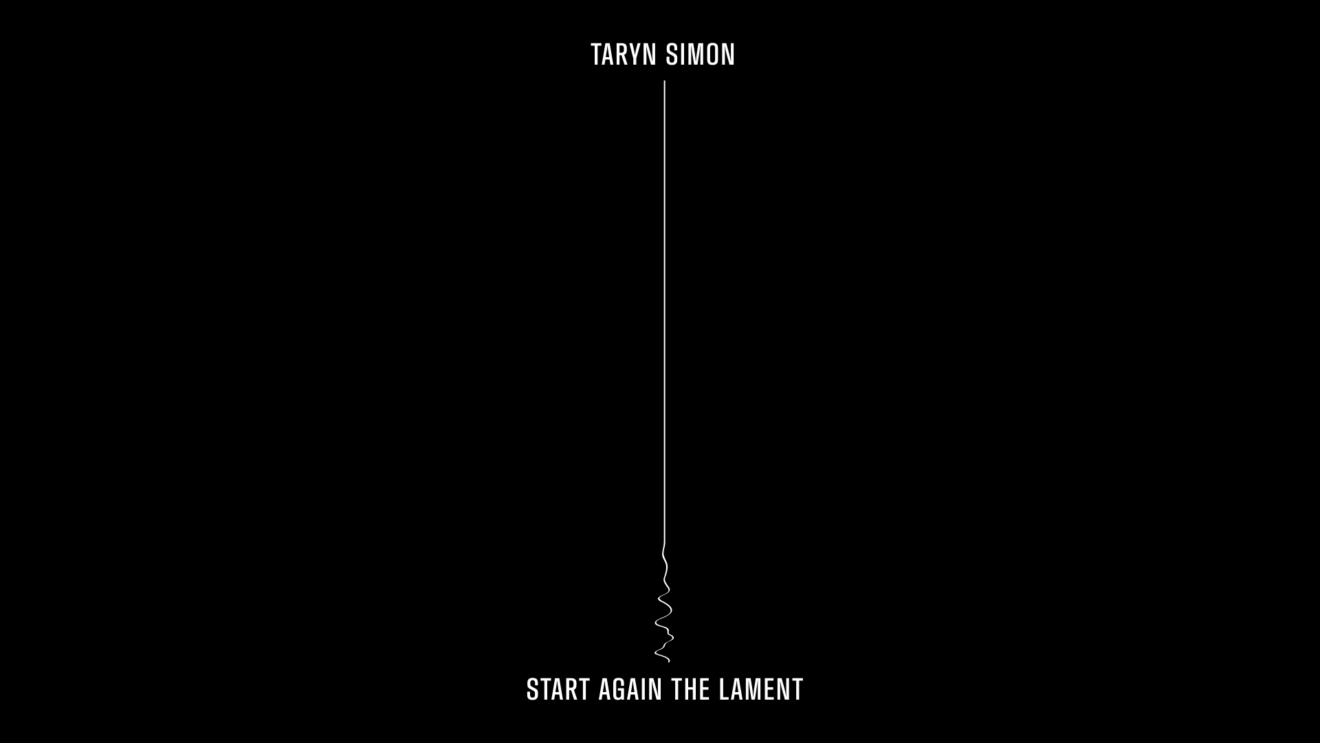 Årets udstilling i Cisternerne: Start Again the Lament af Taryn Simon