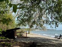 Nyt shelter ved Strandmølle Strand, Nordsjælland. Pressefoto