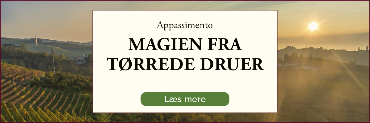Magien fra tørrede druer